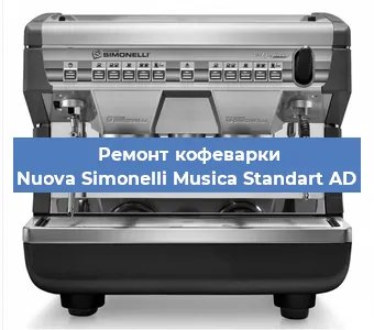 Замена прокладок на кофемашине Nuova Simonelli Musica Standart AD в Перми